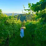 Zerko - Vineyard With Sauna And Jacuzzi Free *