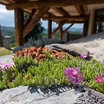 Zerko - Vineyard With Sauna And Jacuzzi Free