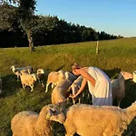 Zerko - Vineyard With Sauna And Jacuzzi Free *