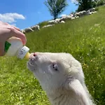 Zerko - Vineyard With Sauna And Jacuzzi Free *