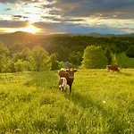 Zerko - Vineyard With Sauna And Jacuzzi Free בית נופש