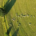 Zerko - Vineyard With Sauna And Jacuzzi Free * Mirna