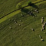 Zerko - Vineyard With Sauna And Jacuzzi Free