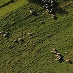 בית נופש Zerko - Vineyard With Sauna And Jacuzzi Free