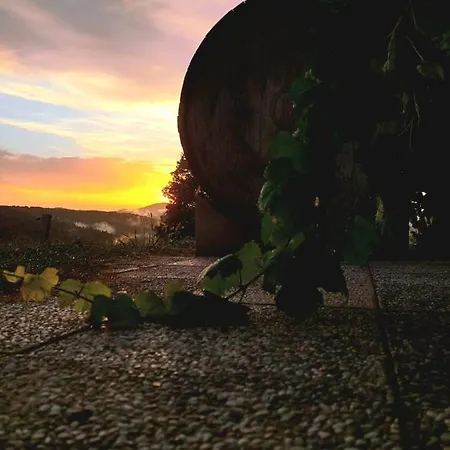Zerko - Vineyard With Sauna&jacuzzi Free * Mirna