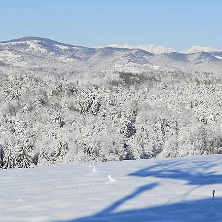 Ferienhaus Zerko - Vineyard With Sauna&jacuzzi Free *