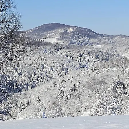 Zerko - Vineyard With Sauna&jacuzzi Free Ferienhaus Mirna