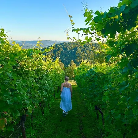 Zerko - Vineyard With Sauna&jacuzzi Free *