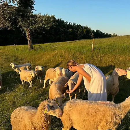 Zerko - Vineyard With Sauna And Jacuzzi Free *