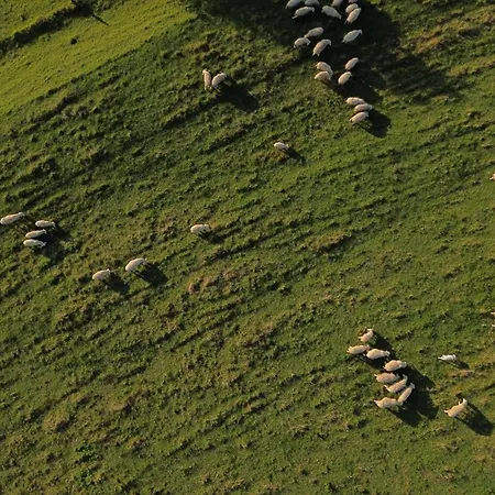 Ferienhaus Zerko - Vineyard With Sauna&jacuzzi Free