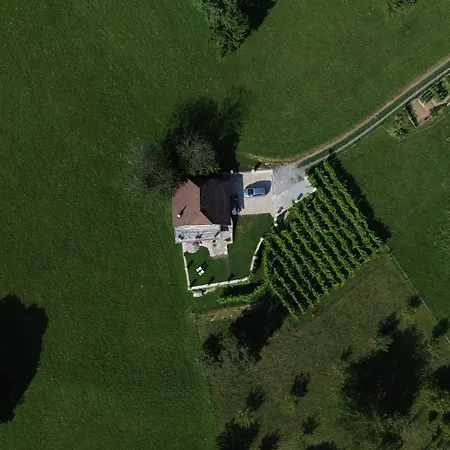 Zerko - Vineyard With Sauna&jacuzzi Free Mirna