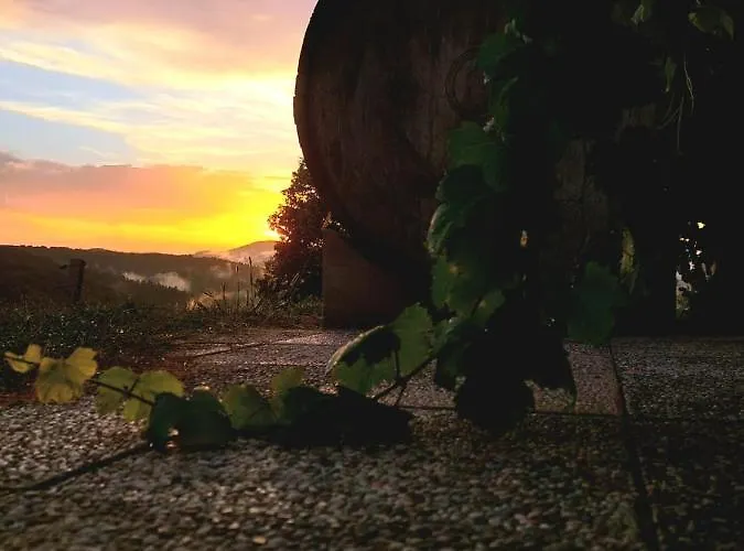 Zerko - Vineyard With Sauna And Jacuzzi Free * Mirna