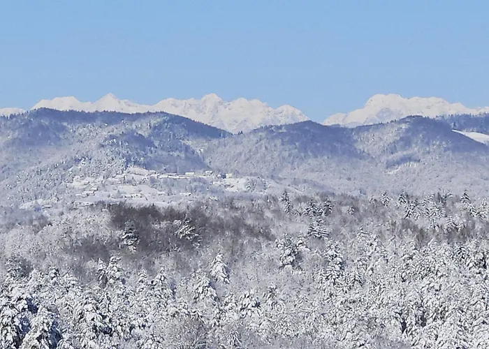 別荘 Zerko - Vineyard With Sauna And Jacuzzi Free Mirna