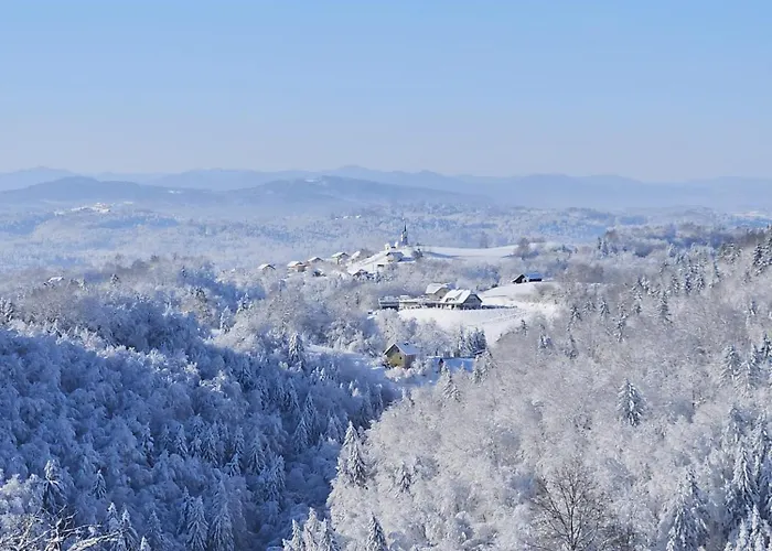 Zerko - Vineyard With Sauna&jacuzzi Free Ferienhaus Mirna