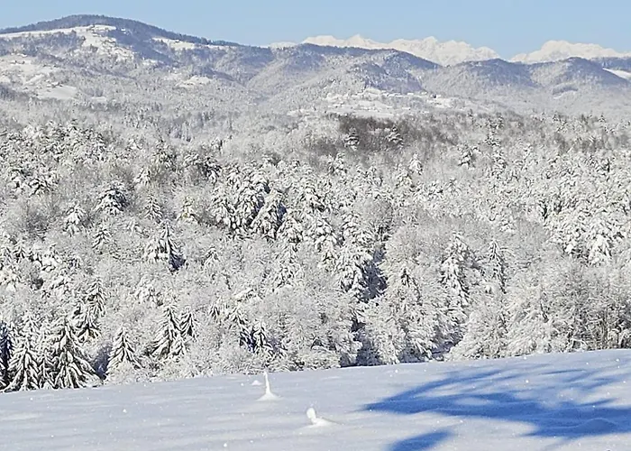 別荘 Zerko - Vineyard With Sauna And Jacuzzi Free *