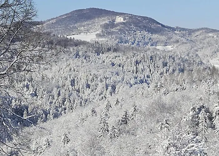 Zerko - Vineyard With Sauna And Jacuzzi Free 別荘 Mirna