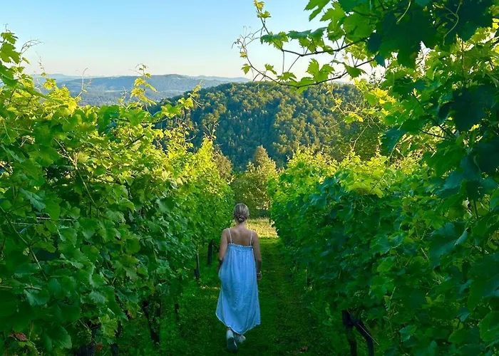 Zerko - Vineyard With Sauna&jacuzzi Free *