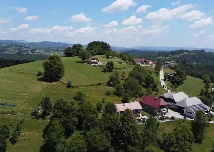 別荘 Zerko - Vineyard With Sauna And Jacuzzi Free *