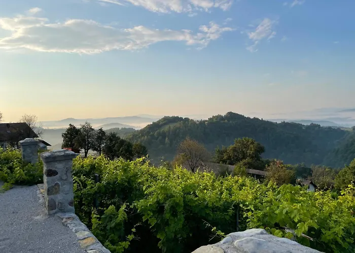 Zerko - Vineyard With Sauna&jacuzzi Free * Mirna