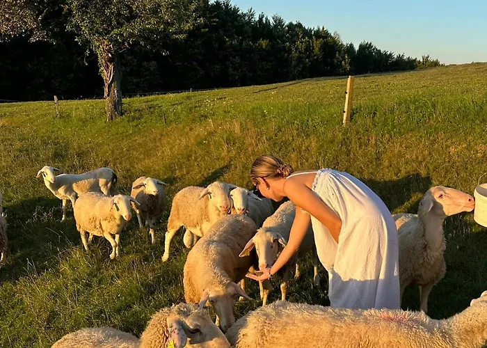 Zerko - Vineyard With Sauna And Jacuzzi Free *