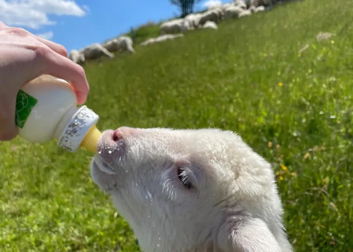 Zerko - Vineyard With Sauna&jacuzzi Free *