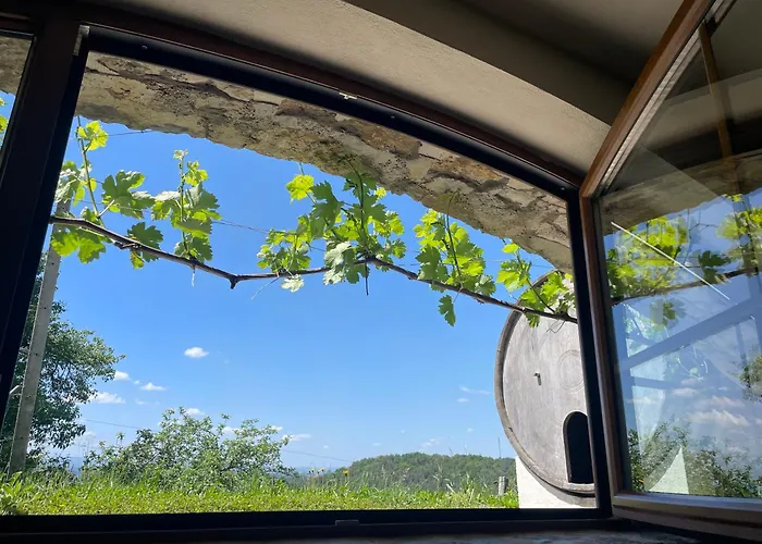 Zerko - Vineyard With Sauna And Jacuzzi Free 別荘 *