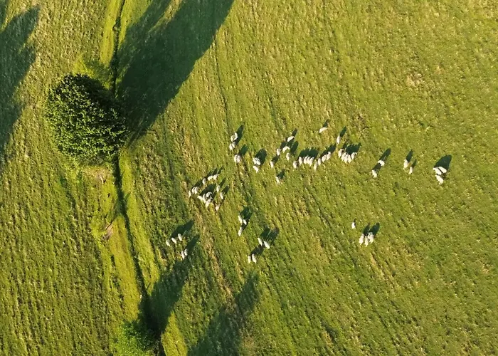 Zerko - Vineyard With Sauna&jacuzzi Free * Mirna