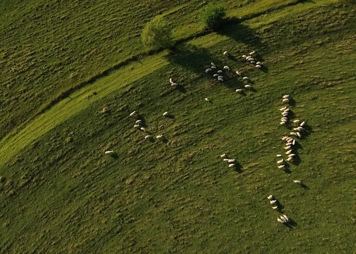 Zerko - Vineyard With Sauna&jacuzzi Free