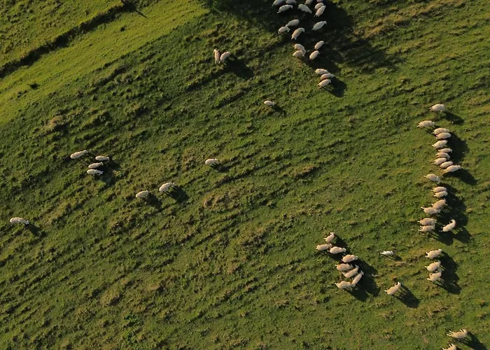 別荘 Zerko - Vineyard With Sauna And Jacuzzi Free