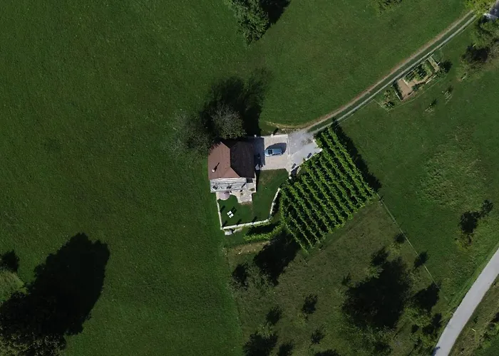 Zerko - Vineyard With Sauna&jacuzzi Free Mirna